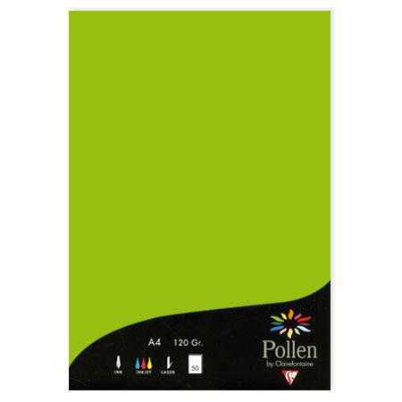 Pollen - 50 feuilles papier A4 120 g - Vert menthe