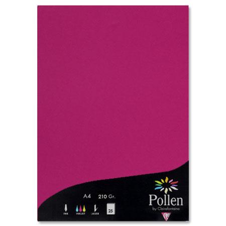 Pollen - 25 feuilles papier A4 210 g - Framboise