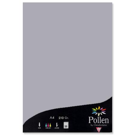 Pollen - 25 feuilles papier A4 210 g - Gris koala