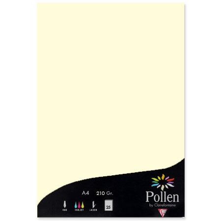 Pollen - 25 feuilles papier A4 210 g - Ivoire