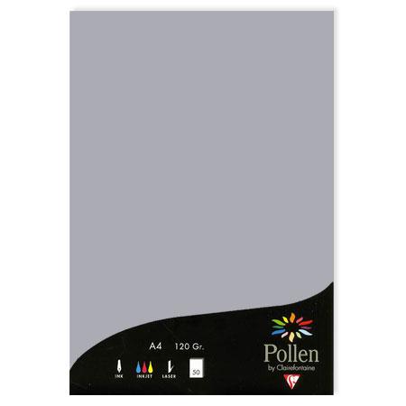 Pollen - 50 feuilles papier A4 120 g - Gris koala