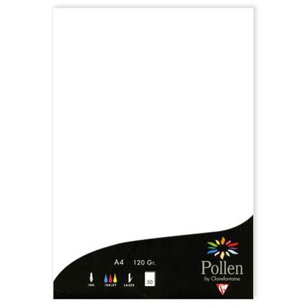 Pollen - 50 feuilles papier A4 120 g - blanc