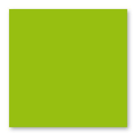 Pollen - 25 cartes carrées 13.5 x 13.5 cm - Vert menthe