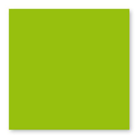 Pollen - 25 cartes carrées 16 x 16 cm - Vert menthe