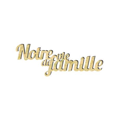 Mot en bois médium - Notre vie de famille - 8.2 x 2.8 cm