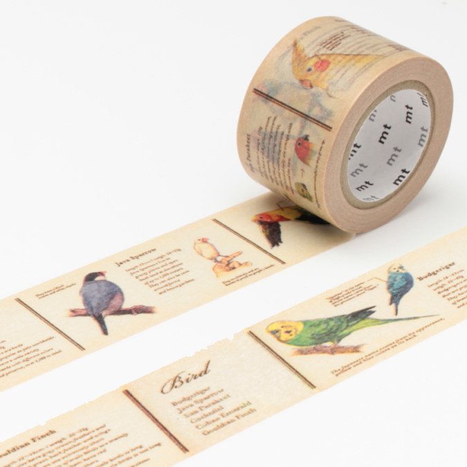 Masking Tape - Encyclopédie Oiseaux - 2,5 cm x 10 m