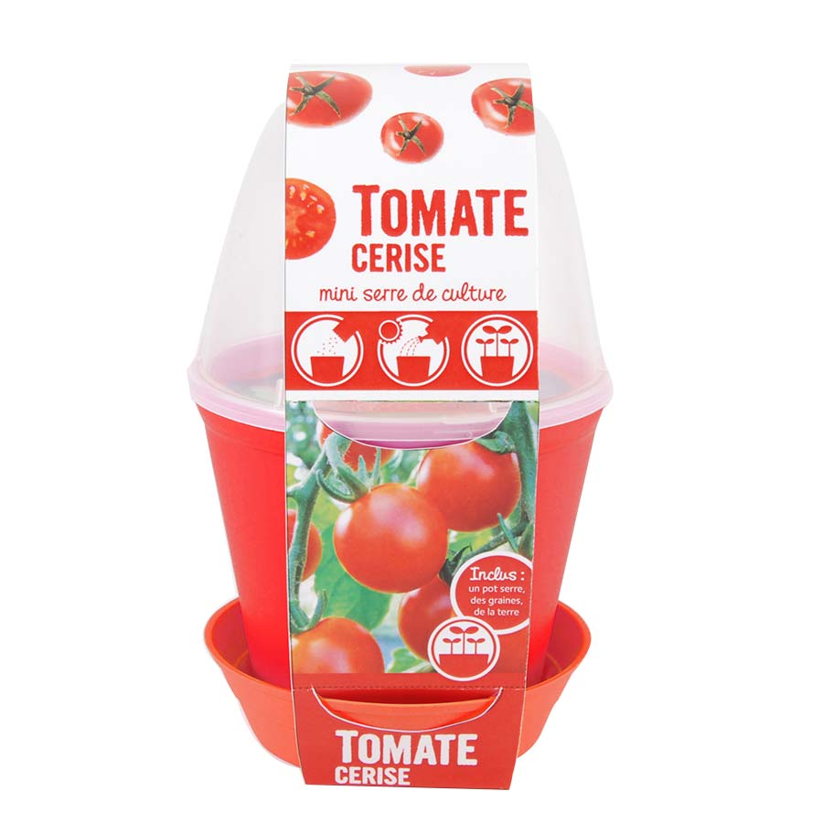 Mini serre de culture Tomate cerise