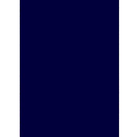 Roboflex pour transfert sur textile - 34 x 21 cm - Bleu marine