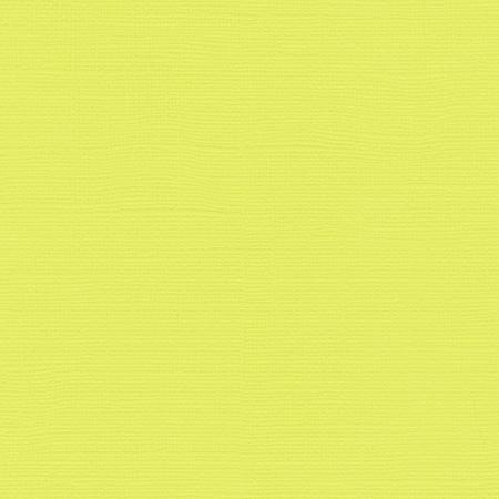 Bazzill Paper - Limeade