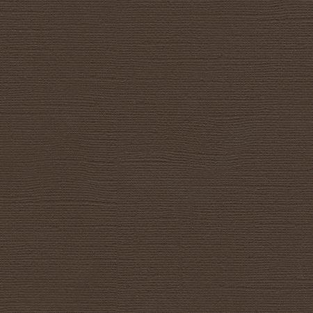 Bazzill Paper - Brown