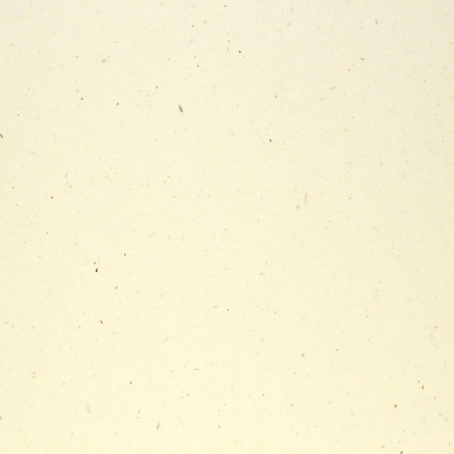 Papier - ivoire moucheté - 30,5 x 30,5 cm