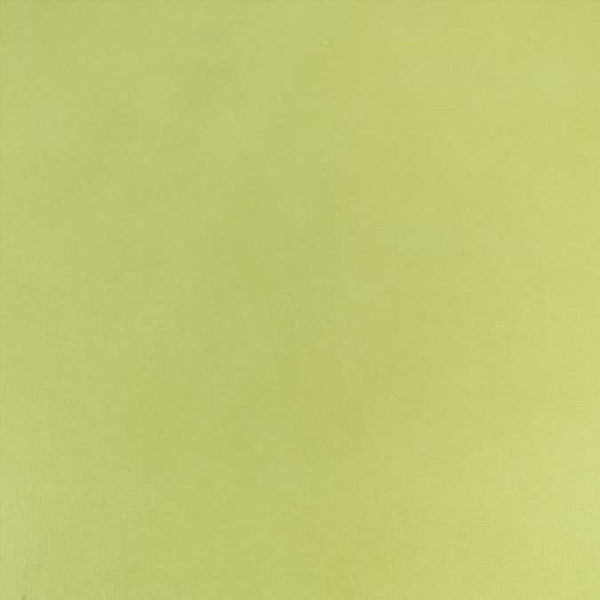 Cardstock adhésif - 30,5 x 30,5 cm - citron vert