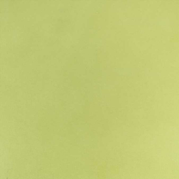 Cardstock adhésif - 30,5 x 30,5 cm - citron vert