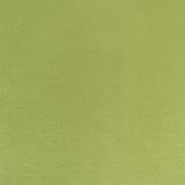 Cardstock adhésif - 30,5 x 30,5 cm - vert feuille