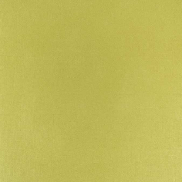 Cardstock adhésif - 30,5 x 30,5 cm - vert jaune