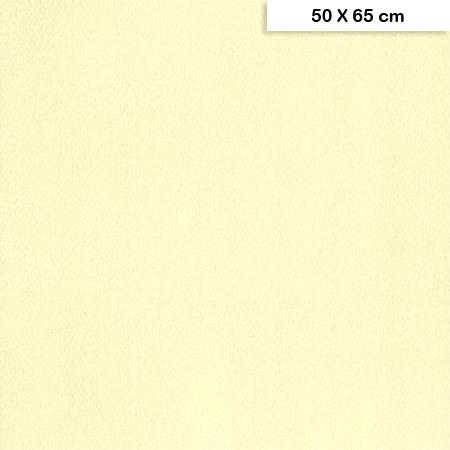 Etival - Papiers dessin à grain couleur - 160g - 50 x 65 cm - Ivoire