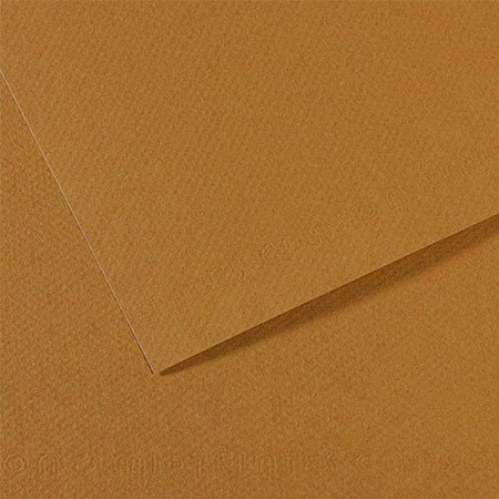 Papier Mi-Teintes - 50 x 65 cm - 160 g/m² - cachou (336)