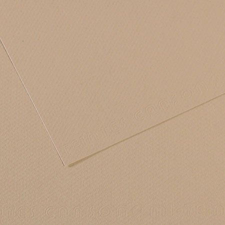 Papier Mi-Teintes - 50 x 65 cm - 160 g/m² - gris trianon (343)