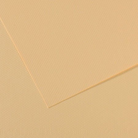 Papier Mi-Teintes - 50 x 65 cm - 160 g/m² - lichen (407)