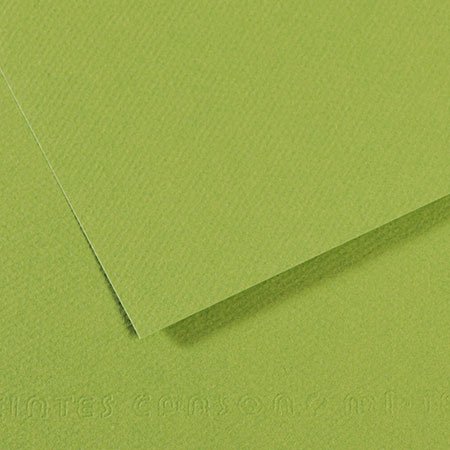 Papier Mi-Teintes - 50 x 65 cm - 160 g/m² - vert pomme (475)