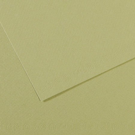 Papier Mi-Teintes - 50 x 65 cm - 160 g/m² - vert amande (480)