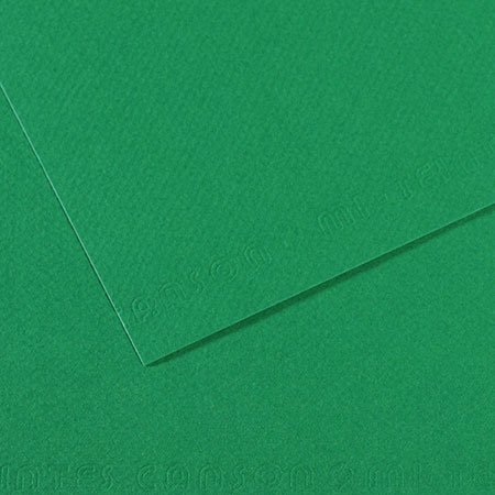 Papier Mi-Teintes - 50 x 65 cm - 160 g/m² - vert billard (575)