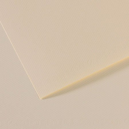 Papier Mi-Teintes - 50 x 65 cm - 160 g/m² - lys (110)