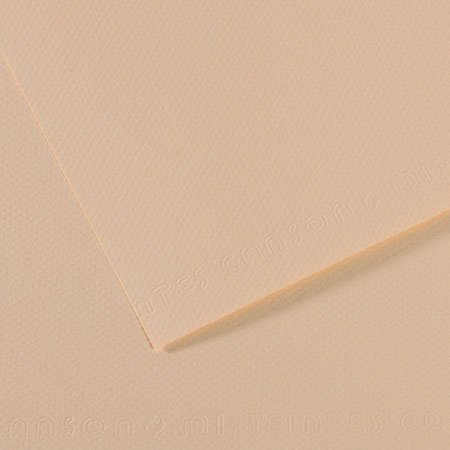 Papier Mi-Teintes - 50 x 65 cm - 160 g/m² - coquille (112)