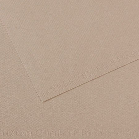 Papier Mi-Teintes - 50 x 65 cm - 160 g/m² - gris flanelle (122)