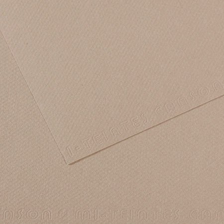 Papier Mi-Teintes - 50 x 65 cm - 160 g/m² - gris flanelle (122)
