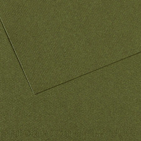 Papier Mi-Teintes - 50 x 65 cm - 160 g/m² - vert océan (448)