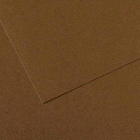Papier Mi-Teintes - 50 x 65 cm - 160 g/m² - marron foncé (501)