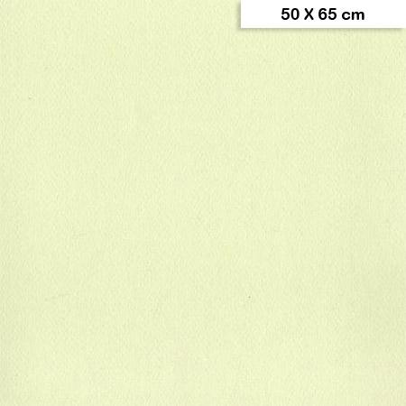 Etival - Papiers dessin à grain couleur - 160g - 50 x 65 cm - Vert tilleul