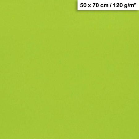 Papier Maya - 120g - Vert mousse - 50 x 70 cm