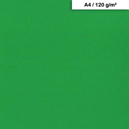 Papier Maya A4 120 g/m² Vert sapin