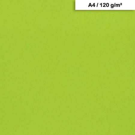 Papier Maya A4 120 g/m² Vert mousse