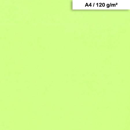 Papier Maya A4 120 g/m² Vert menthe