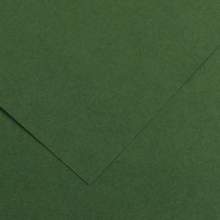 Papier Iris Vivaldi - 50 x 65 cm - 120 g/m² - vert sapin (31)