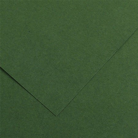 Papier Iris Vivaldi - 50 x 65 cm - 240 g/m² - vert sapin (31)