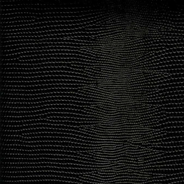 Papier Cuir Lézard - 188 g/m² - 50 x 68 cm - noir