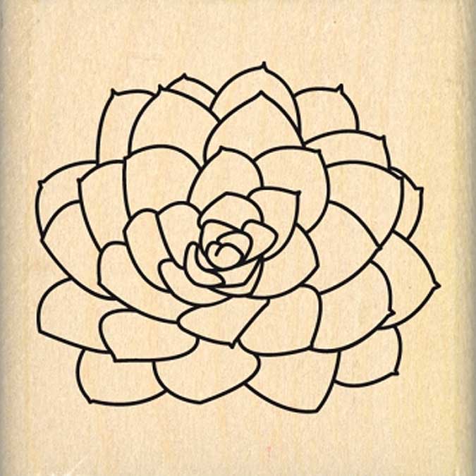 Dakota Valley - Tampon Bois - Petite succulente - 5 x 5 cm