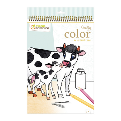 Carnet de coloriage Graffy Color Animaux de la ferme
