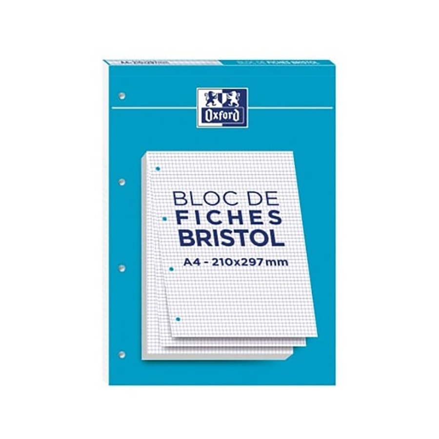 Bloc Bristol 2.0 petits carreaux Q.5x5 Perforé - Scrapmalin