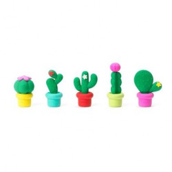 Gommes Parfumées Cactus 5 pcs