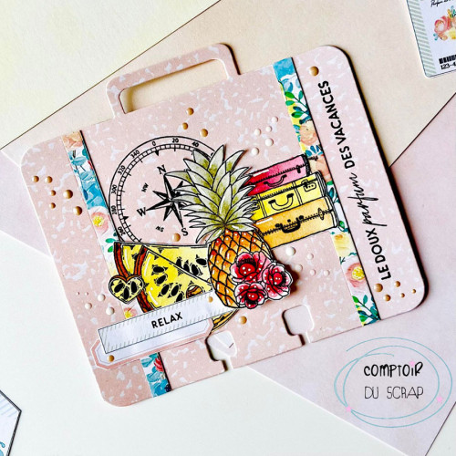Die Memorydex valise