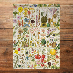 Puzzle 1000 pièces Botanical bliss - Gibsons