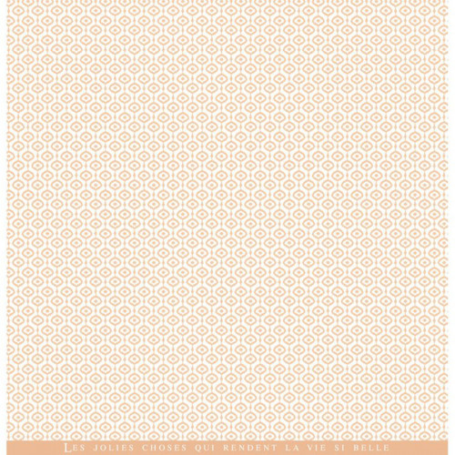 Arizona Papier imprimé #1
