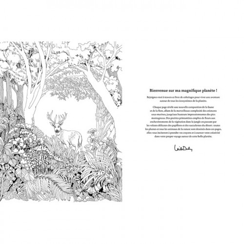 Livre de coloriage Magnifique planète - Hachette
