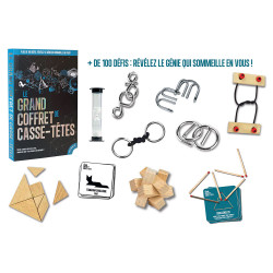 Le grand coffret de casse-têtes - Professor Puzzle