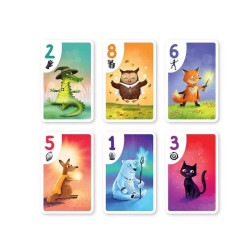 Jeu de cartes Zing-a-Zam ! - Brain Games